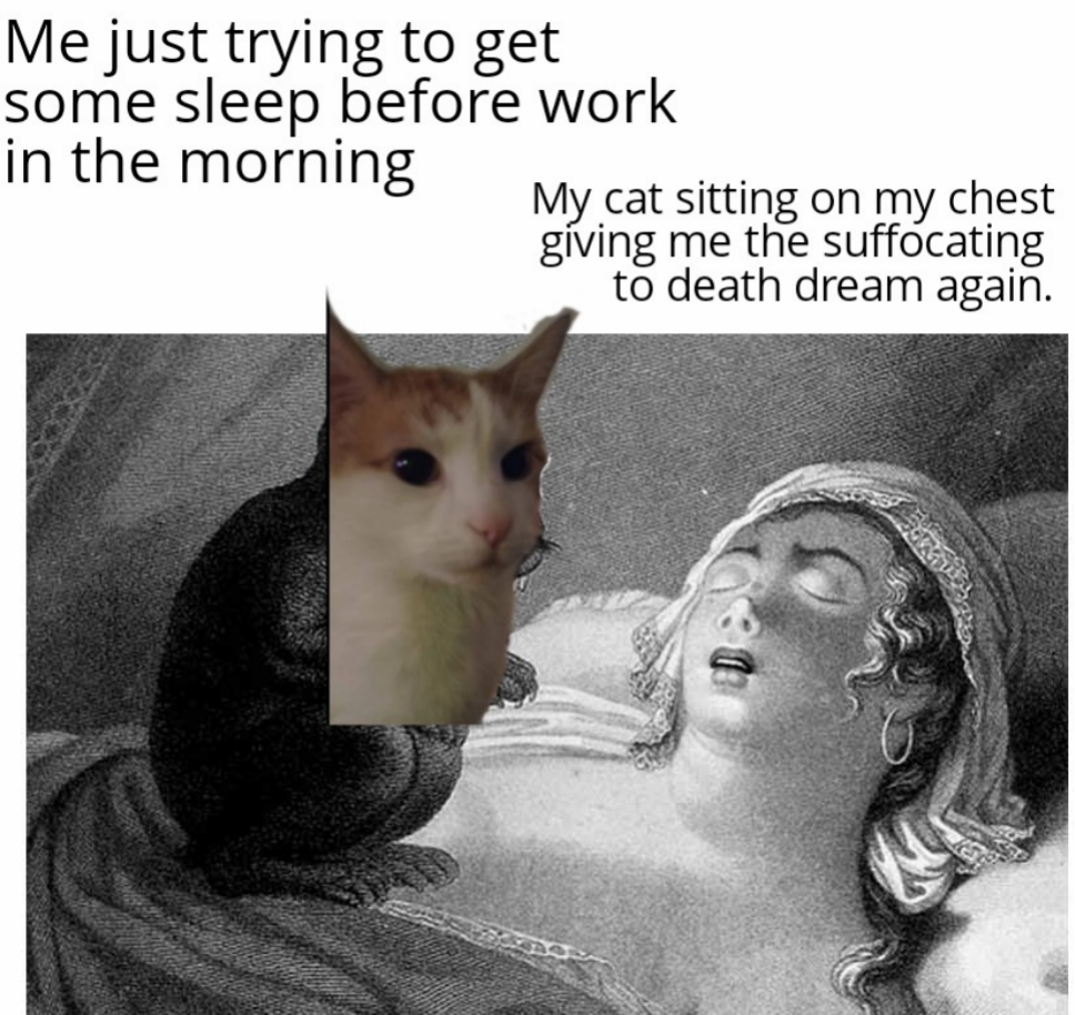 Fresh meme for the cat owners