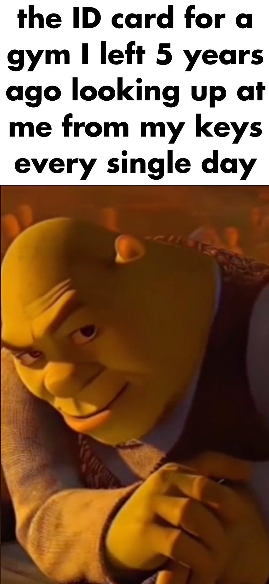 It's basically the same as exercise - memes content on JollySwipe