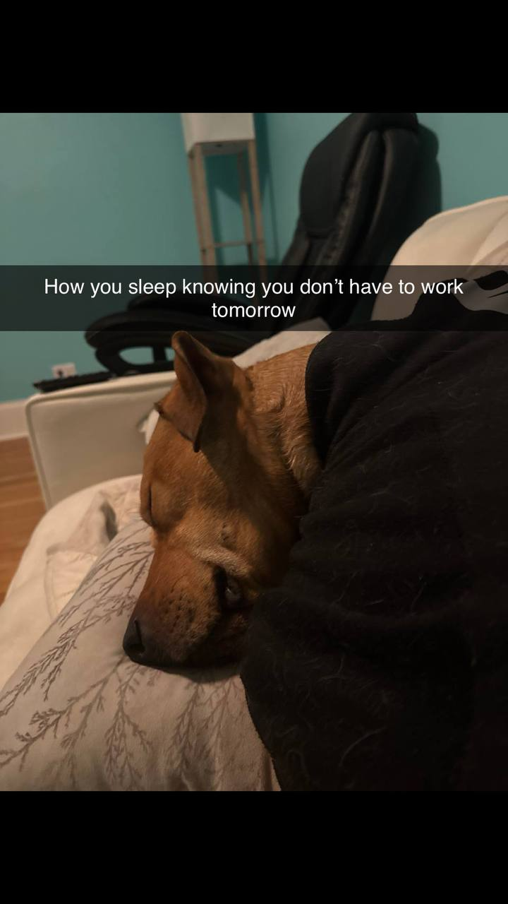 how you sleep knowing you dont have to work tomorrow ,refresh and restart - memes content on JollySwipe