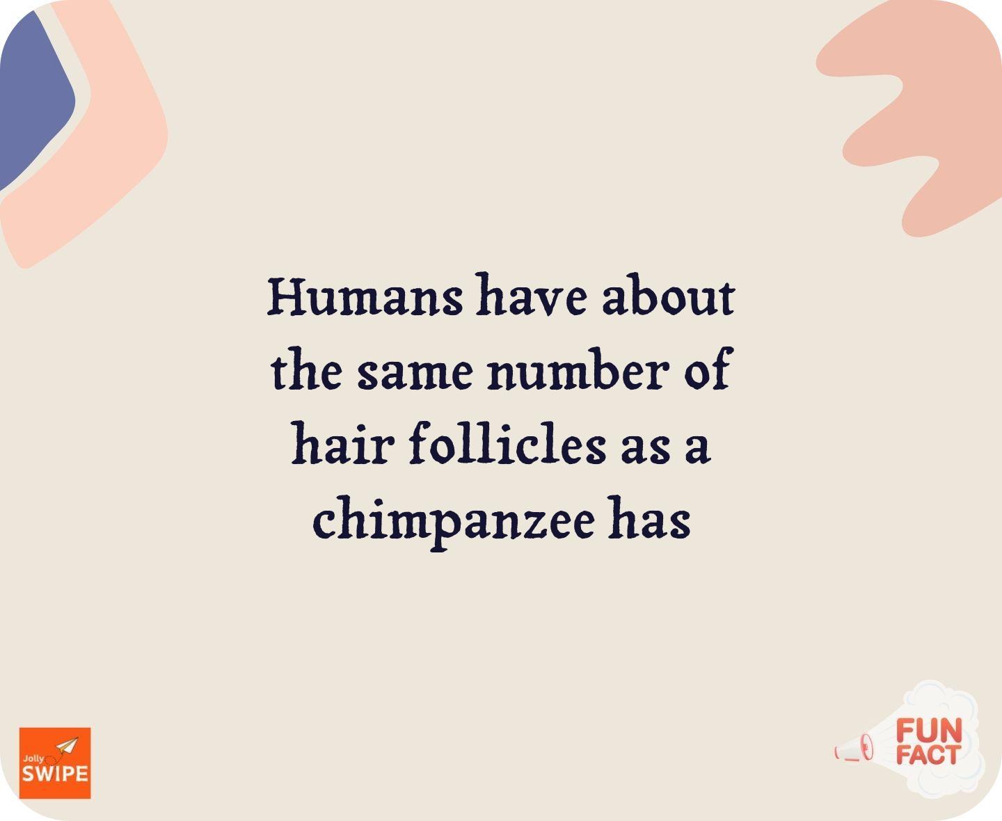 null - fun-facts content on JollySwipe