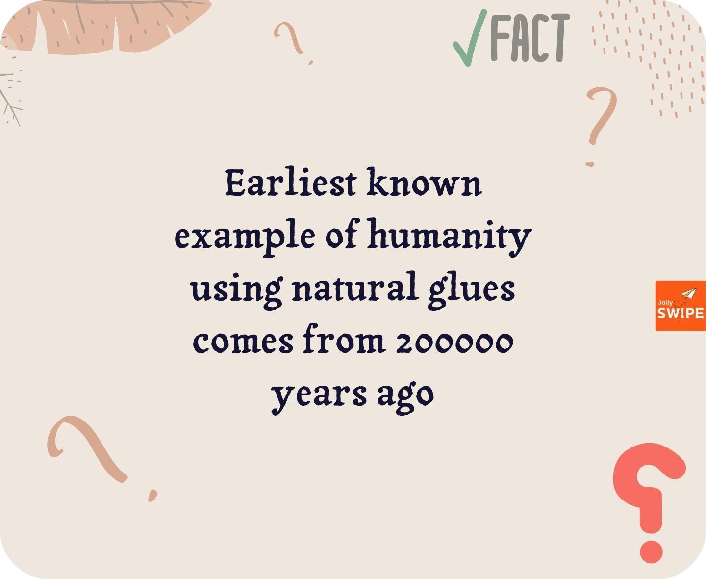 null - fun-facts content on JollySwipe