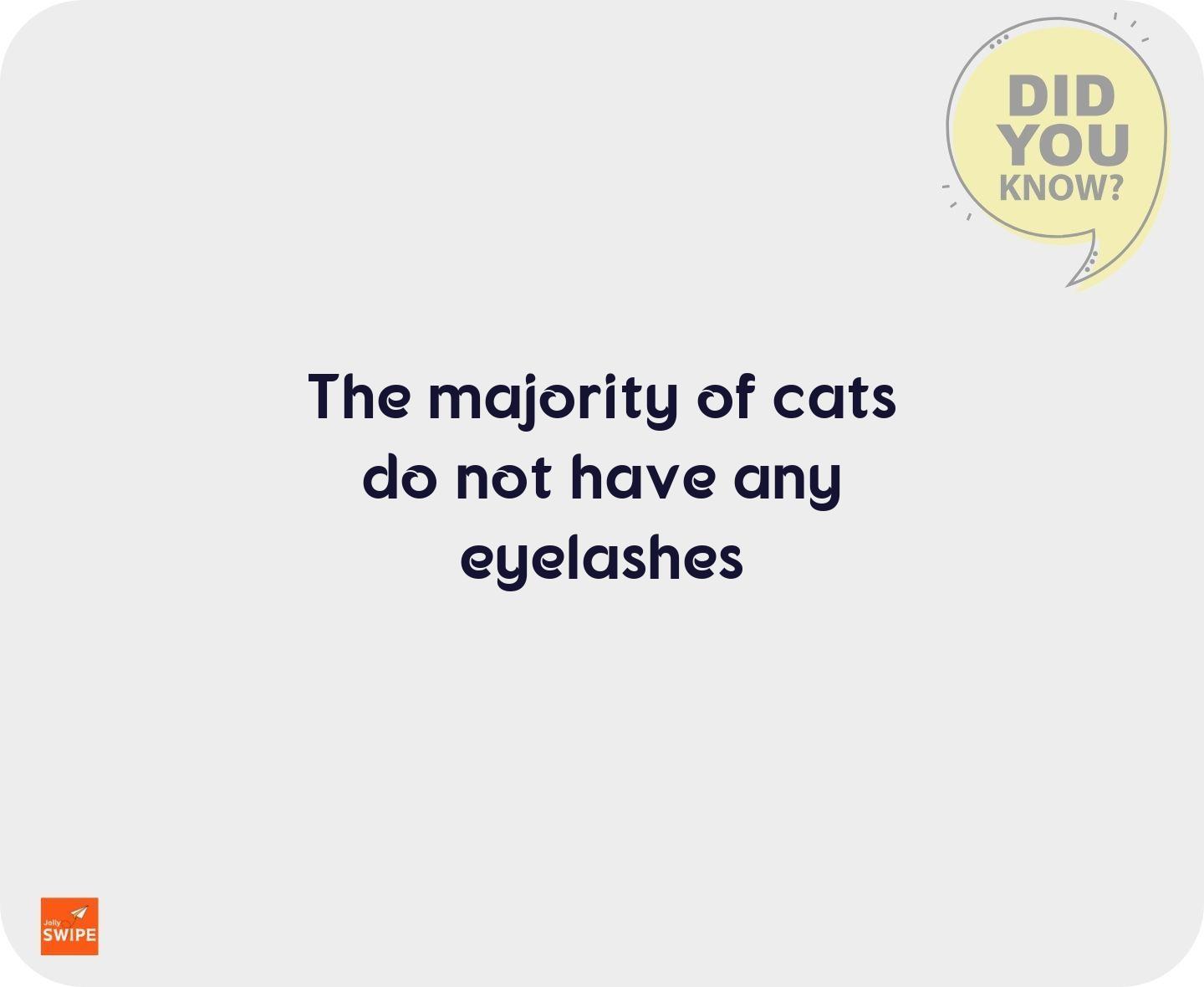 null - fun-facts content on JollySwipe