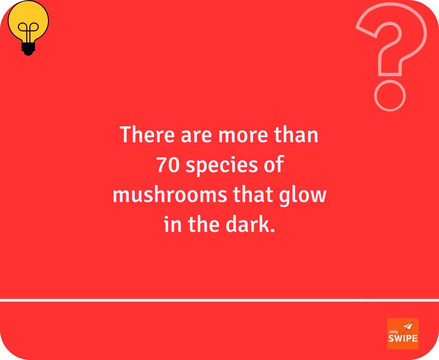 null - fun-facts content on JollySwipe