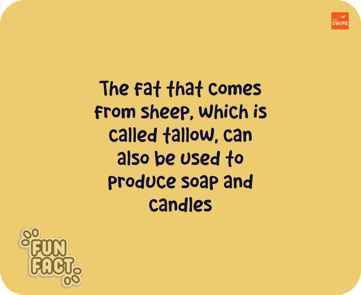 null - fun-facts content on JollySwipe