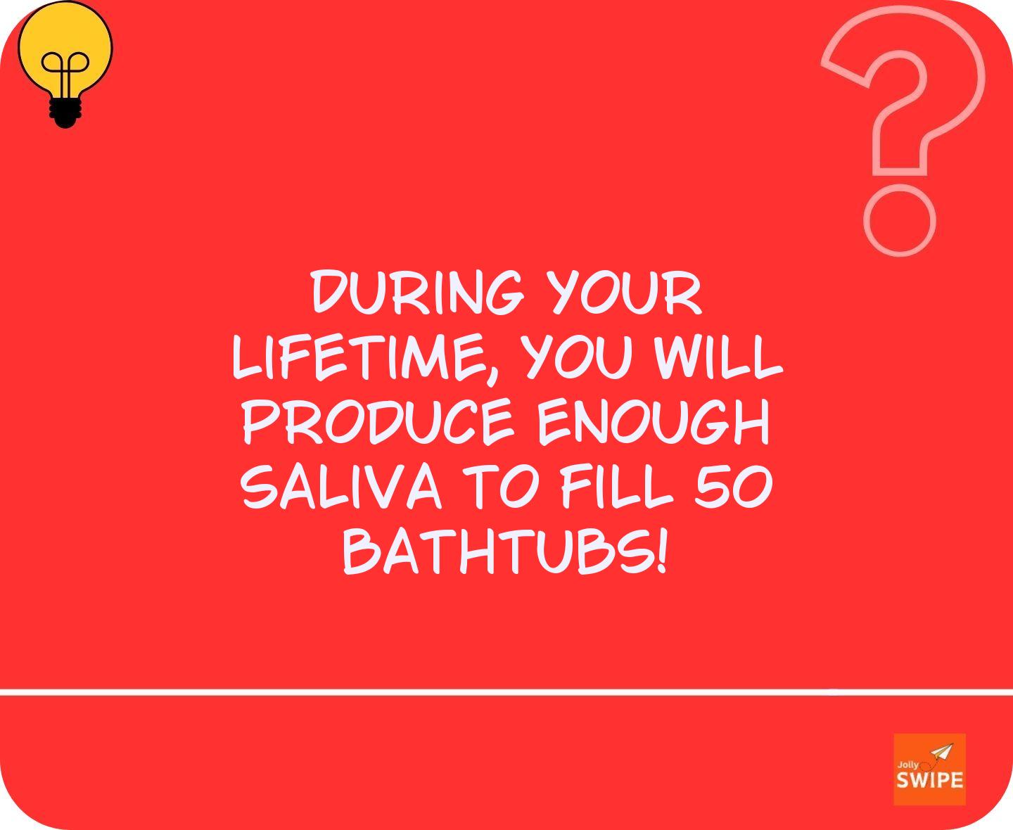 null - fun-facts content on JollySwipe