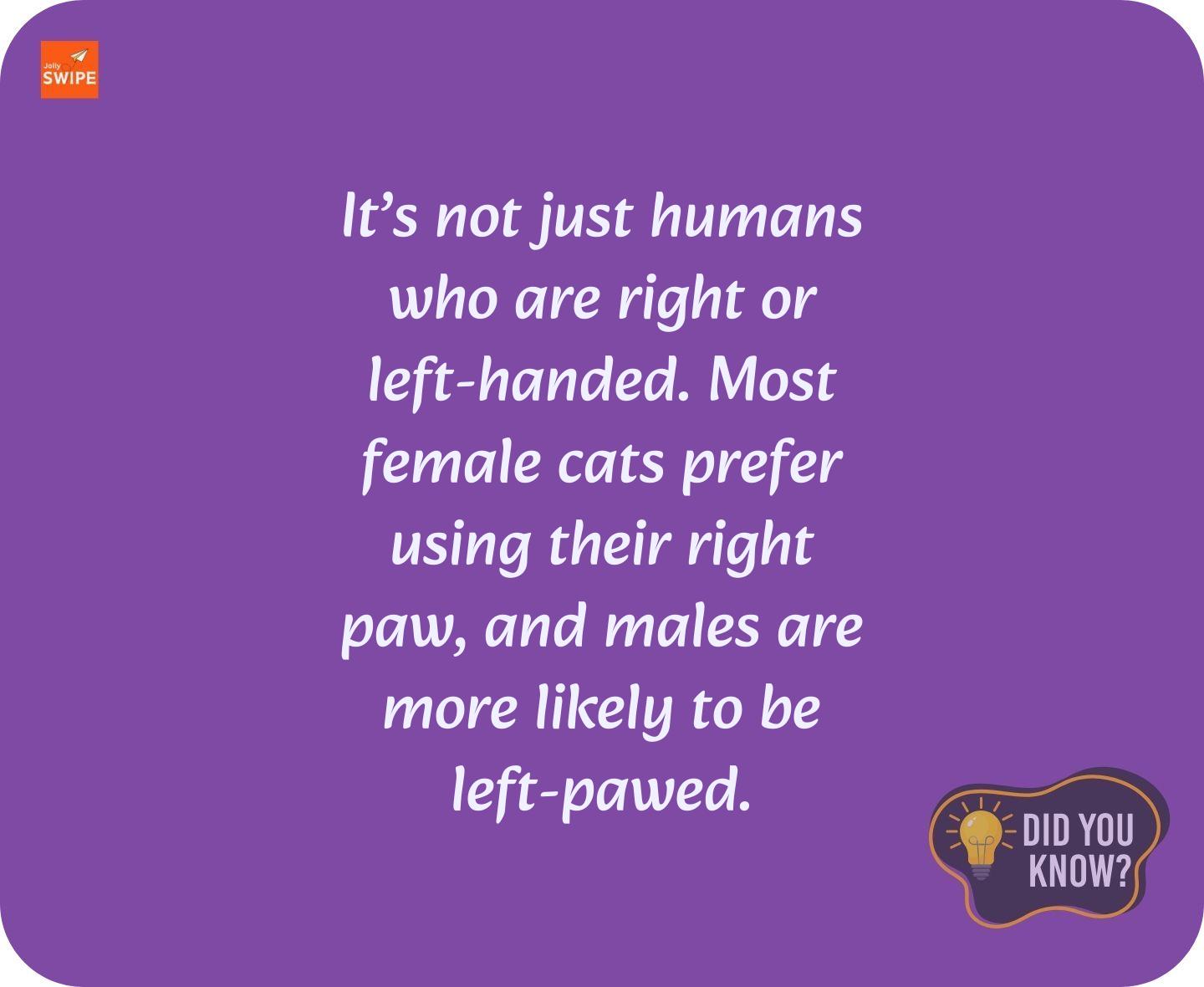 null - fun-facts content on JollySwipe